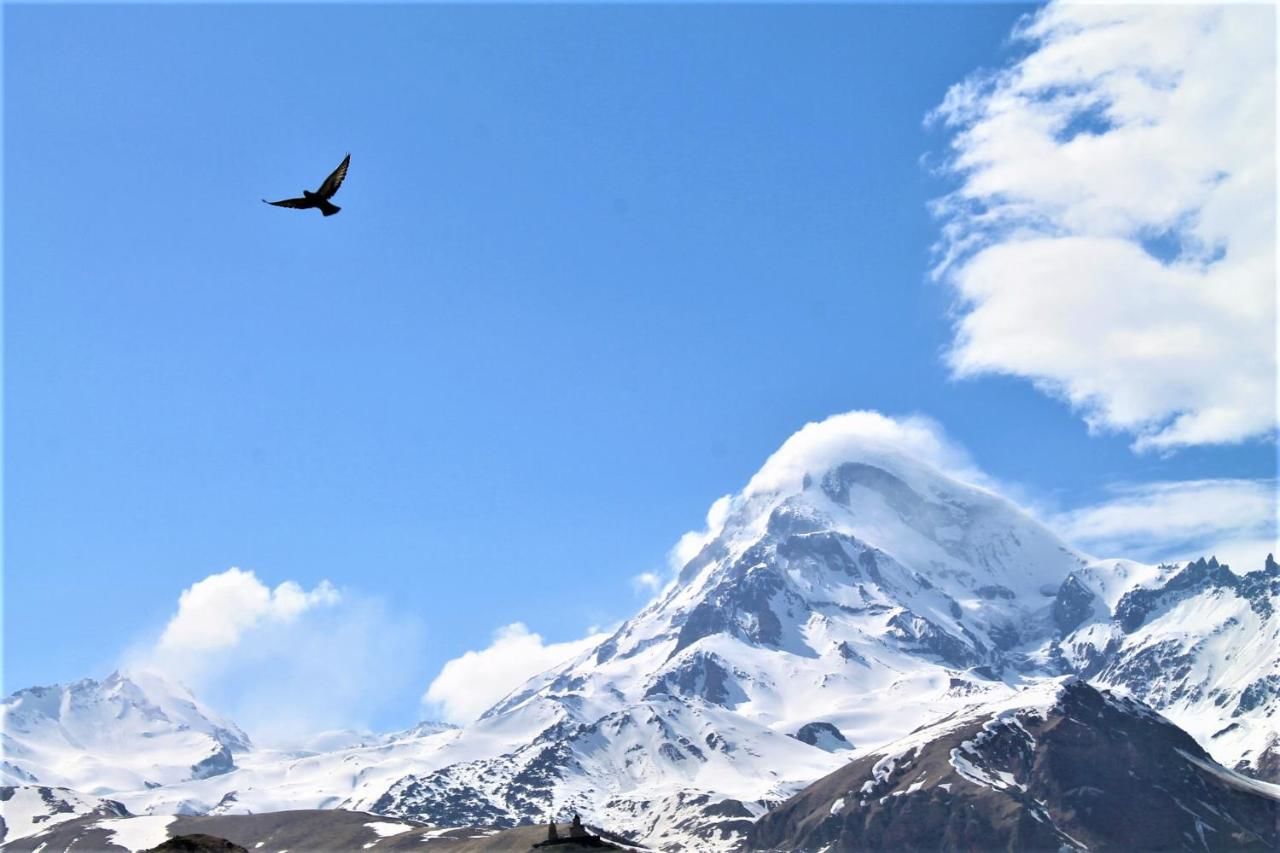 Отель Hotel NOA Kazbegi Степанцминда-21