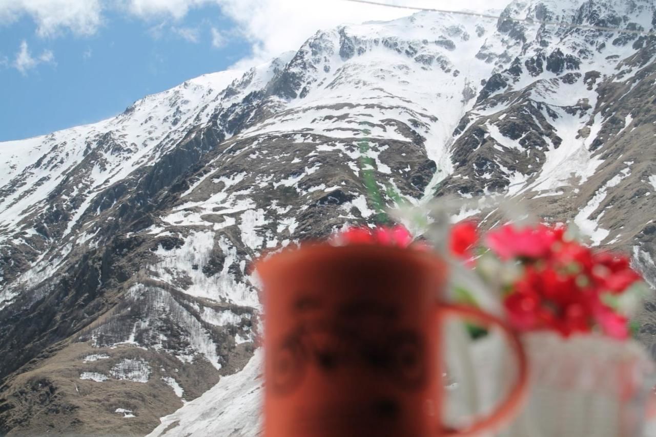 Отель Hotel NOA Kazbegi Степанцминда